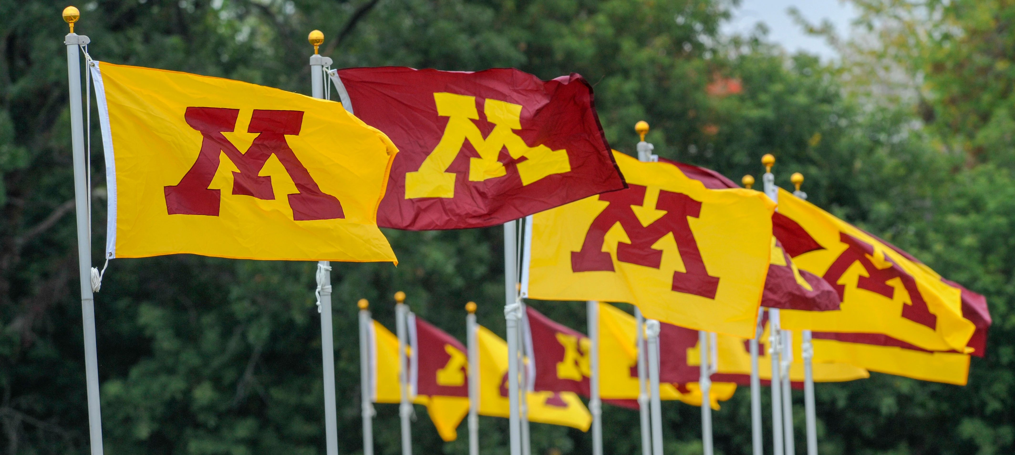 UMN Banner